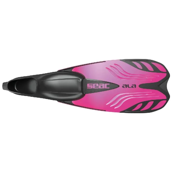 Palme Seac ALA – Image 5