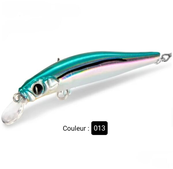 Leurre Hunthouse 105mm / 18,5g – Image 5