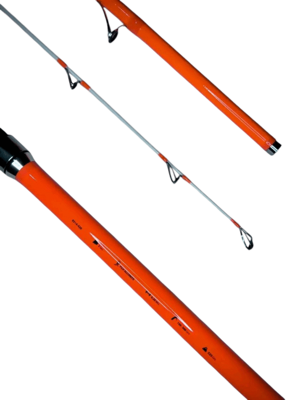 Canne YAKUZA  4.20m /  100-300g – Image 4