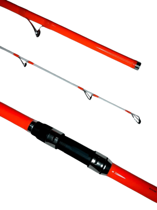 Canne YAKUZA  4.20m /  100-300g – Image 3