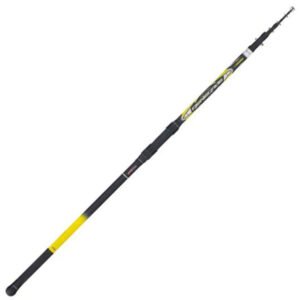 Canne Tubertini RENEGADE  4.20m / 100 - 200g