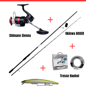 Pack Spinning Complet – OKINWA + SHIMANO + ALLBLUE + HAOHOI
