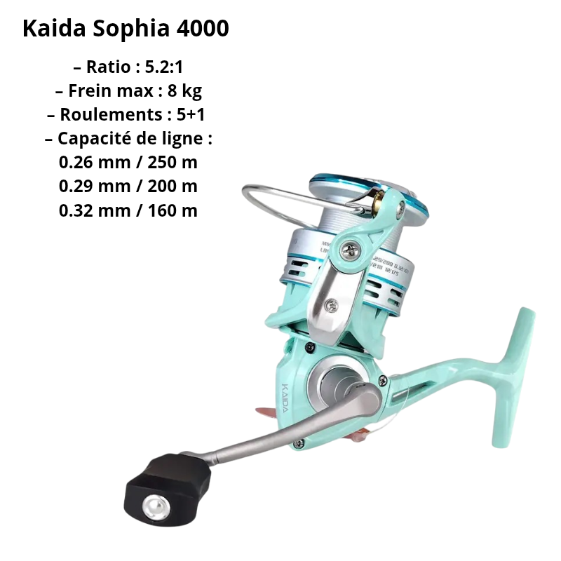 Pack Spinning Complet KAIDA – Canne + Moulinet + Tresse – Image 3