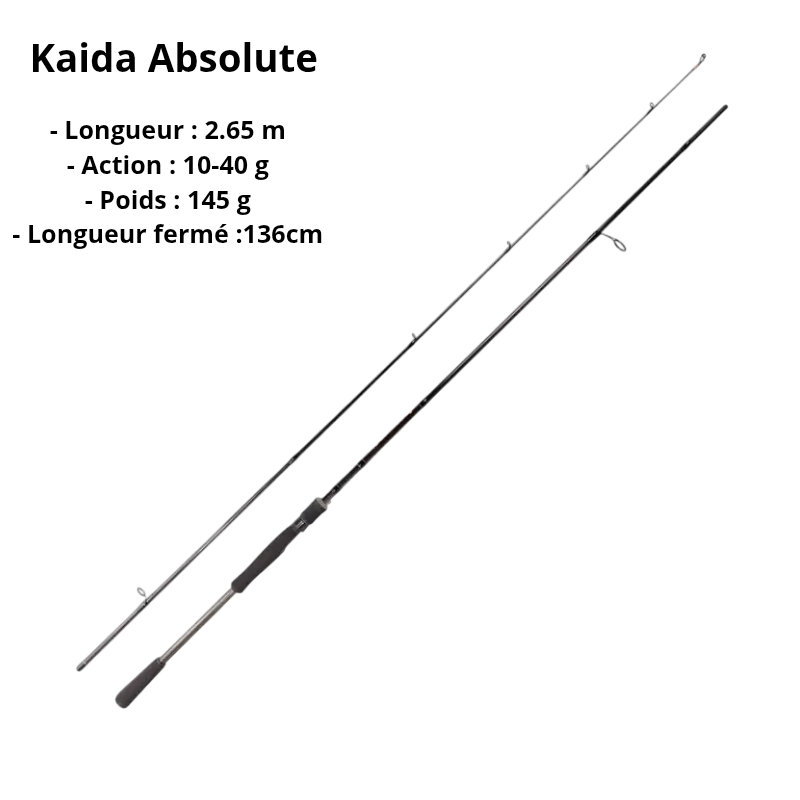 Pack Spinning Complet KAIDA – Canne + Moulinet + Tresse – Image 2